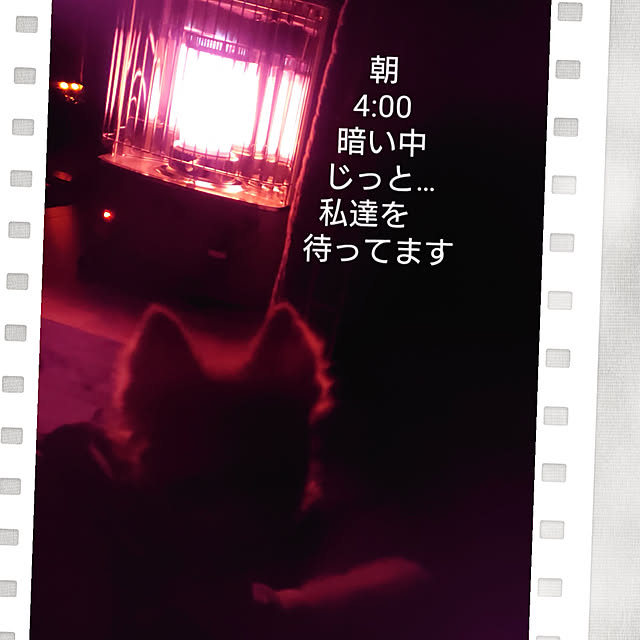 akaidarumaさんの部屋