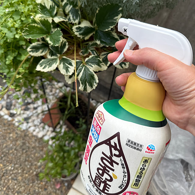zuccoさんの実例写真