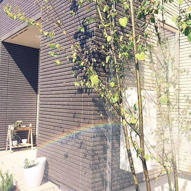 mamimumemoさんの実例写真