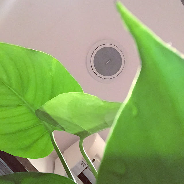 HKSさんの実例写真