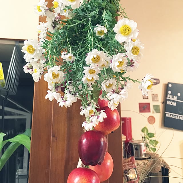 onokenkoさんの実例写真