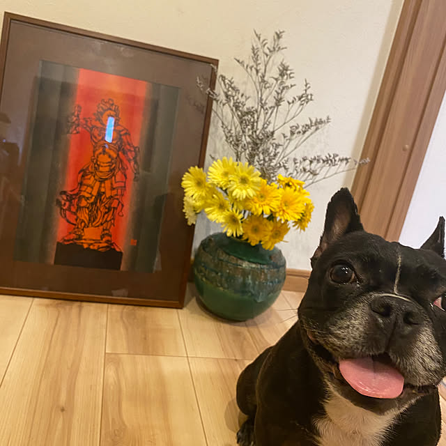 kotaroさんの部屋