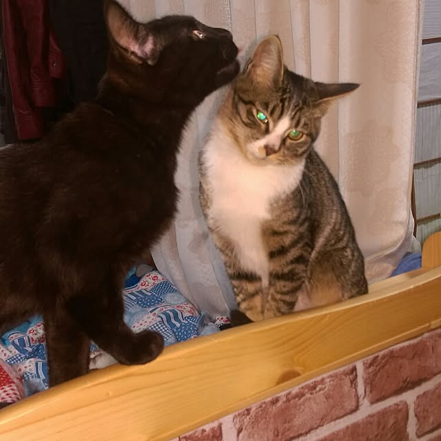 OKANさんの実例写真