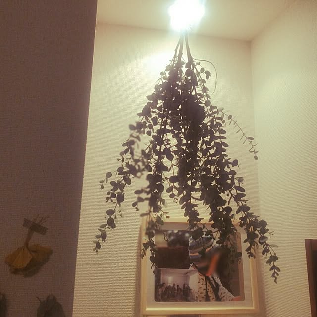 666667さんの実例写真