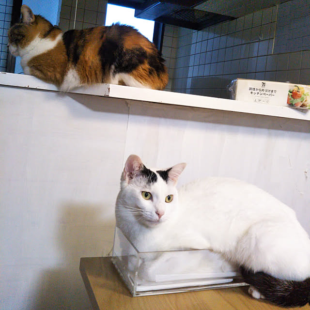 yukieさんの実例写真