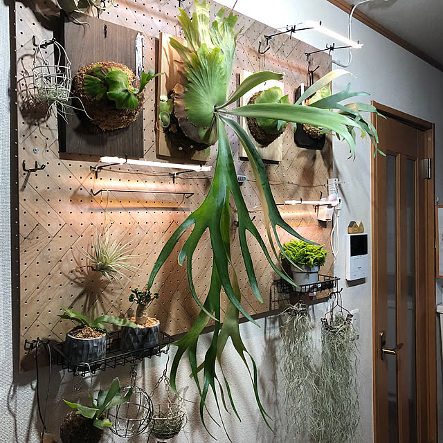 CoffeeHouseさんの部屋