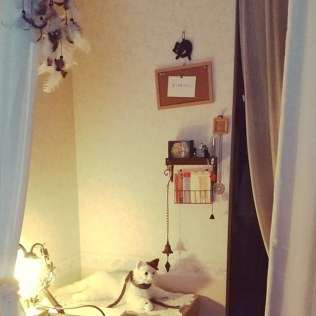 Miuさんの実例写真