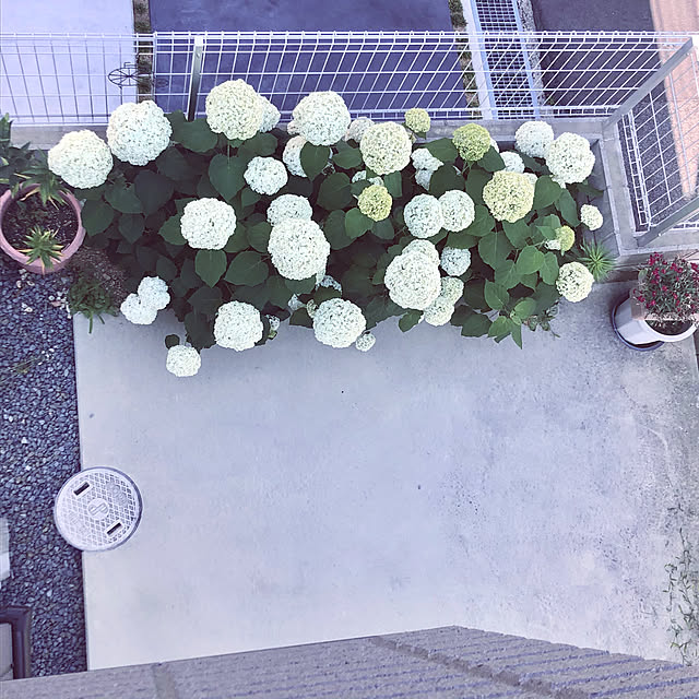 maiさんの実例写真