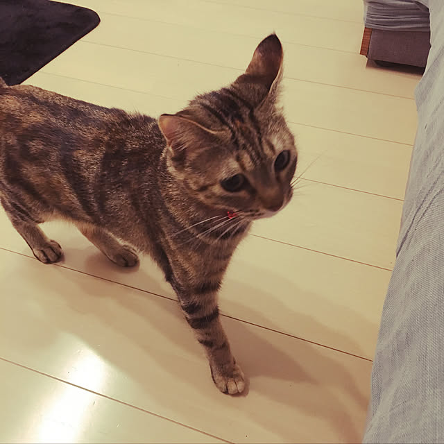 nomu2さんの実例写真