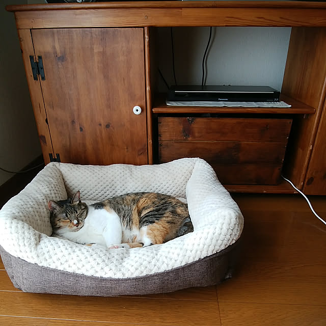 tomo1220さんの実例写真