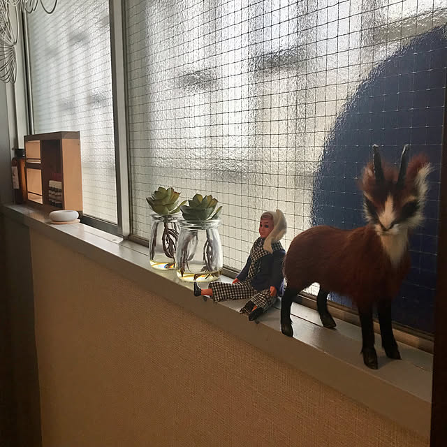 oiseauxさんの部屋