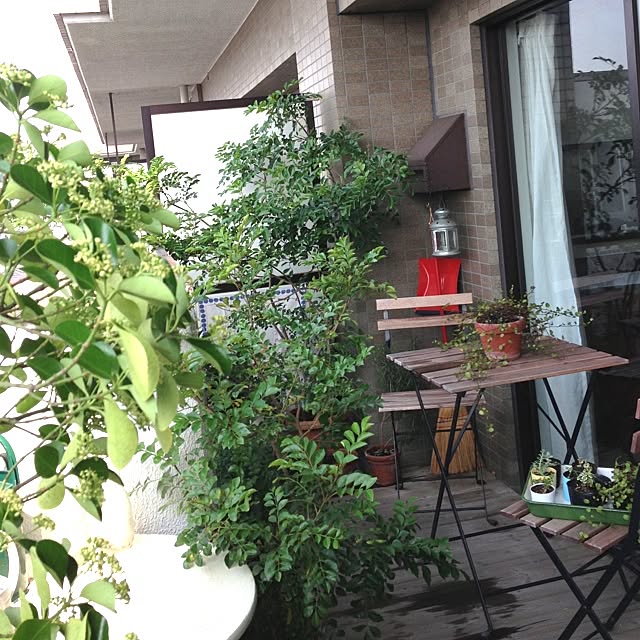 leonaさんの実例写真