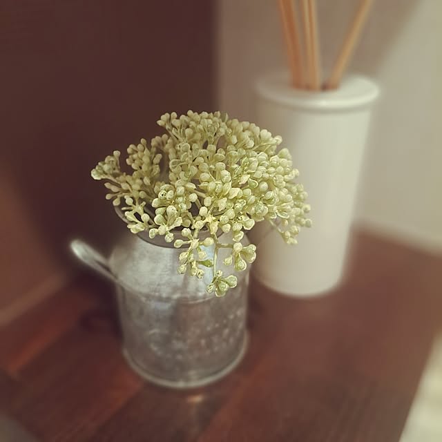 sakura_3さんの部屋