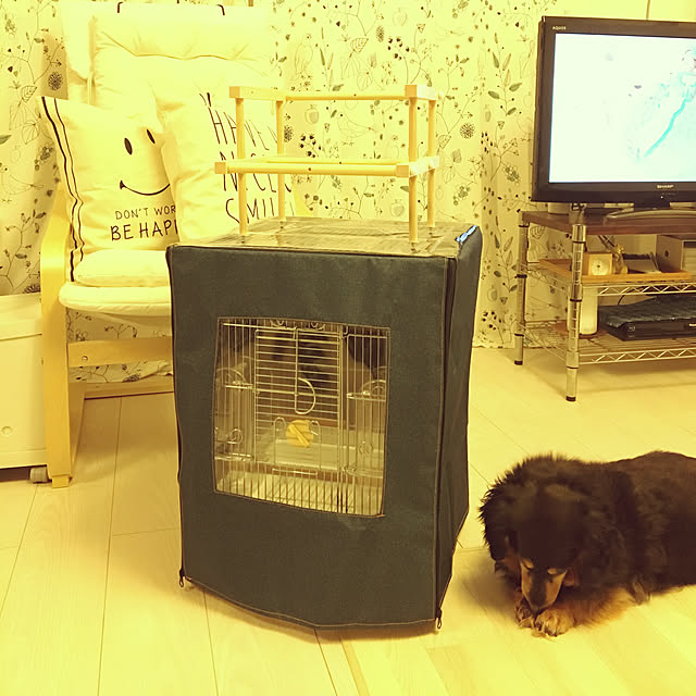 ohanaさんの実例写真
