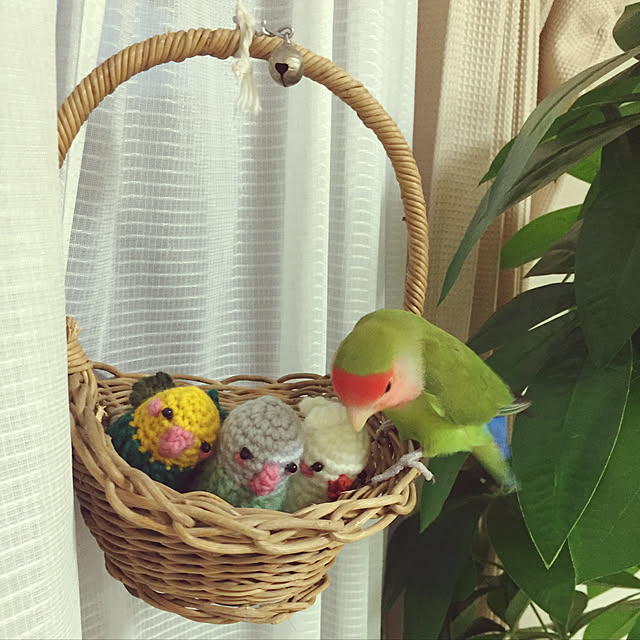 toratanさんの実例写真