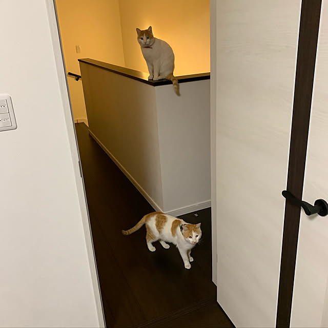 haryu1202さんの実例写真