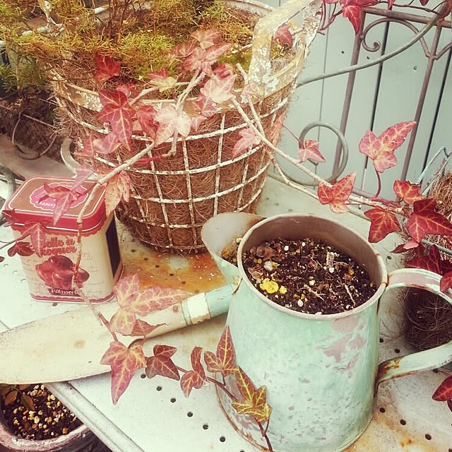 yururiragardenさんの実例写真