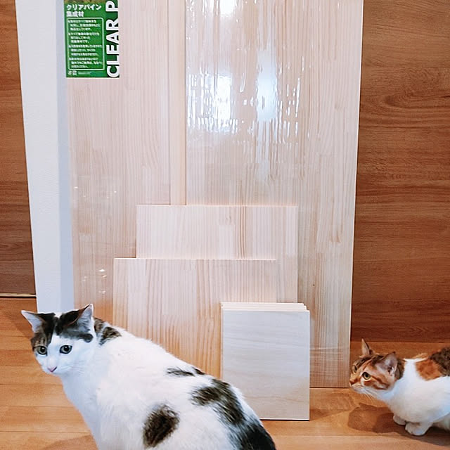 kirakirahikaruさんの実例写真