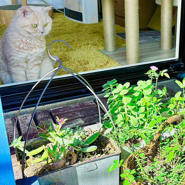 naokoさんの部屋