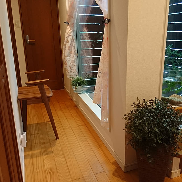 38catさんの実例写真