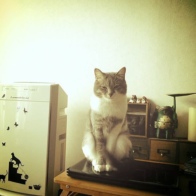 lovepandaさんの実例写真