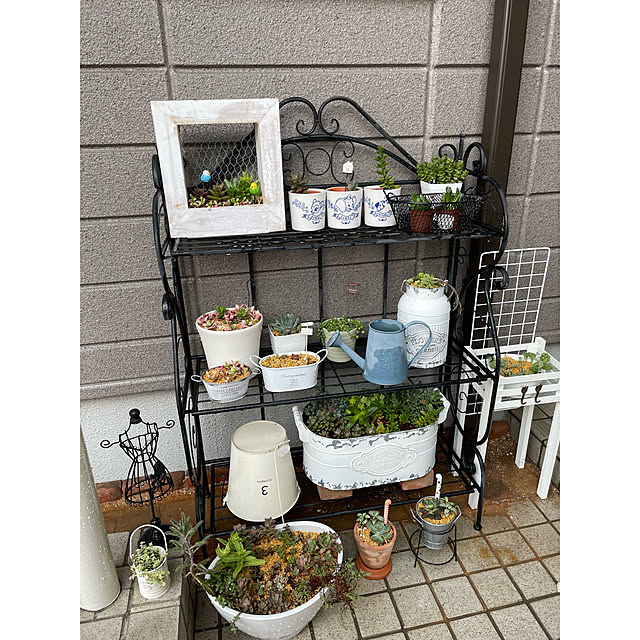 momocchiさんの実例写真