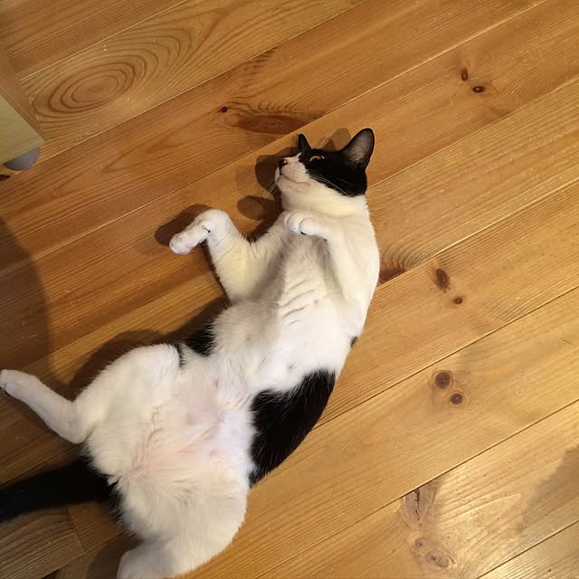 takammyさんの実例写真