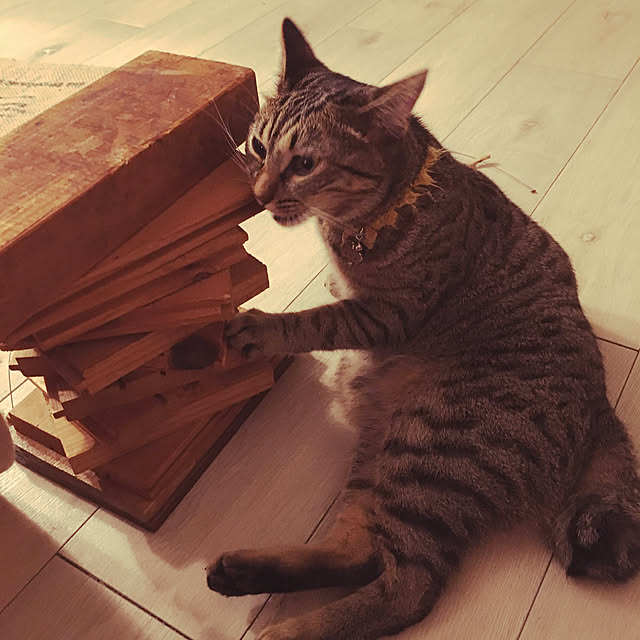 Mさんの実例写真