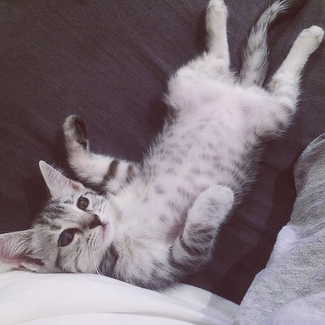 miiさんの実例写真