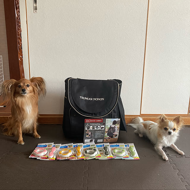 toratanさんの実例写真