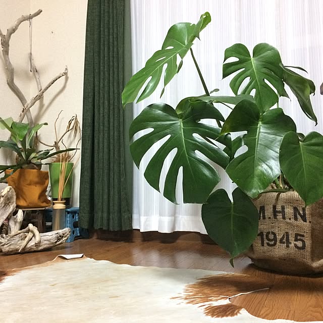 部屋全体のインテリア実例 - 2017-03-24 07:39:50