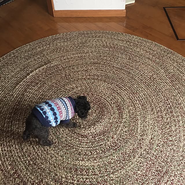 Mihさんの実例写真