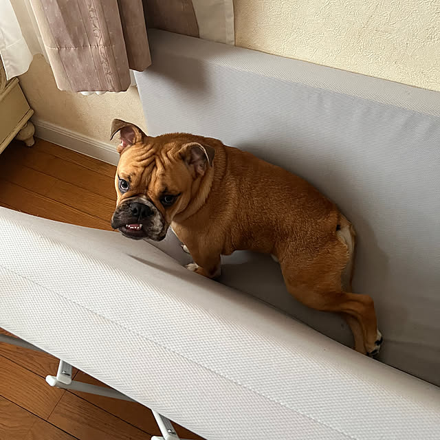chi_gogaさんの部屋