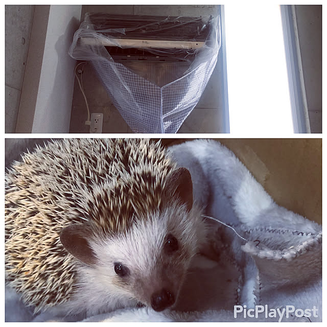 Chikakoさんの実例写真
