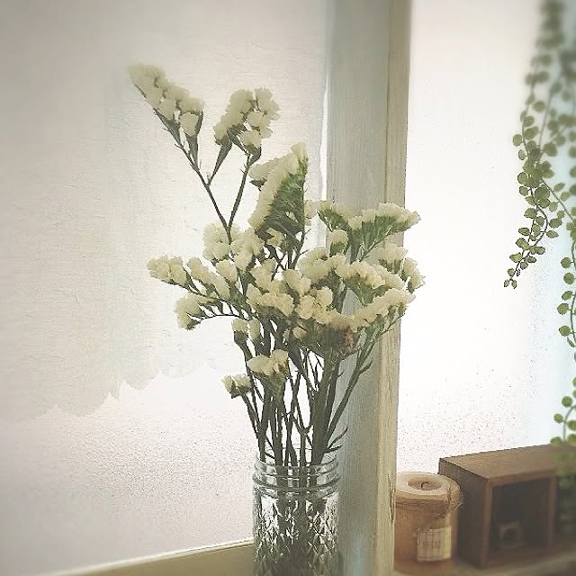 rookuさんの実例写真
