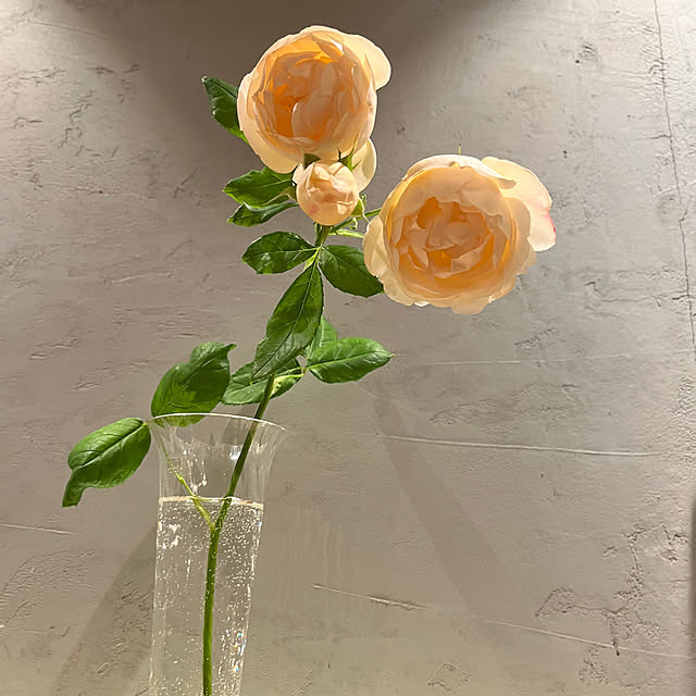 rinrinさんの部屋