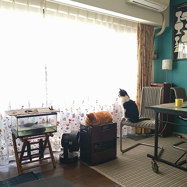 okyosan101さんの実例写真
