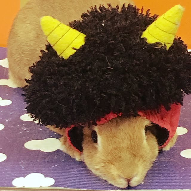 MI-Lさんの実例写真