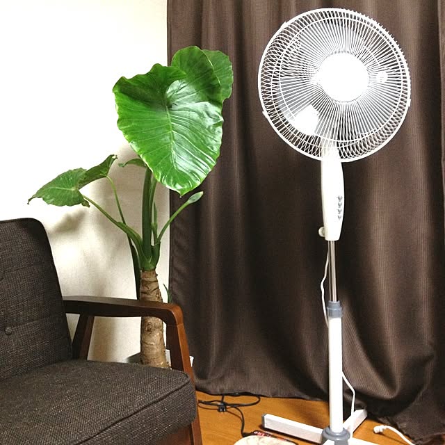 c.0203.ganoさんの実例写真