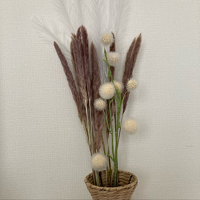 hanaさんの実例写真