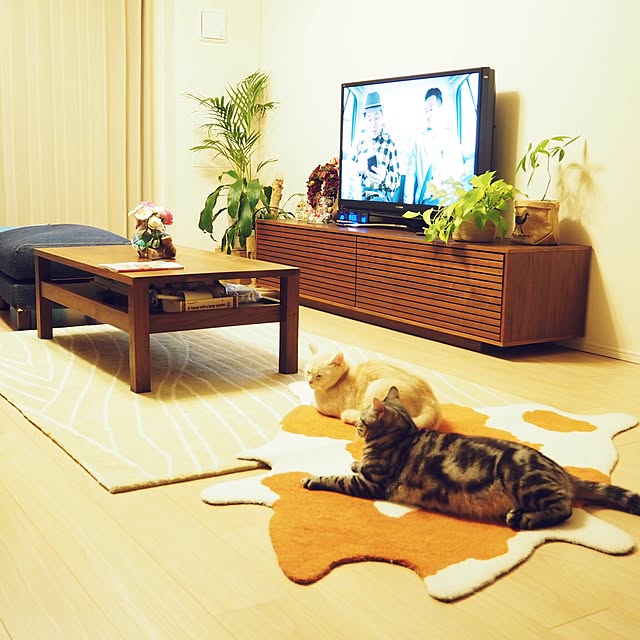 y.k.0123さんの実例写真
