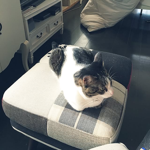 Shihoさんの実例写真