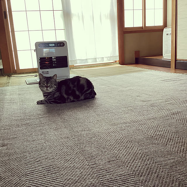 richanさんの実例写真