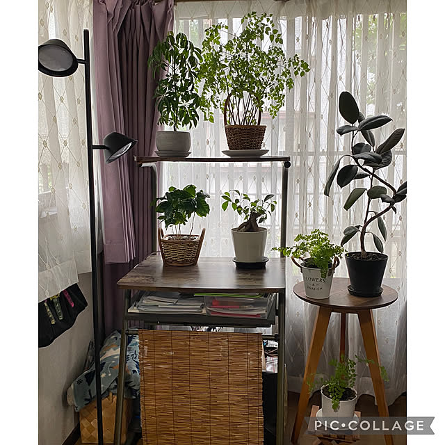 Smilkazuさんの部屋