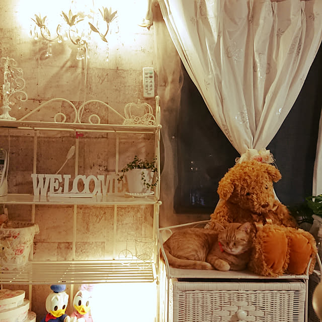asuminさんの実例写真