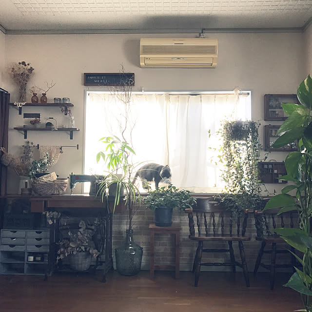 mucc08さんの実例写真