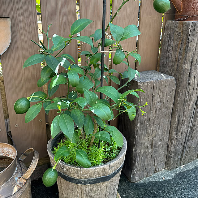 tabasaさんの部屋