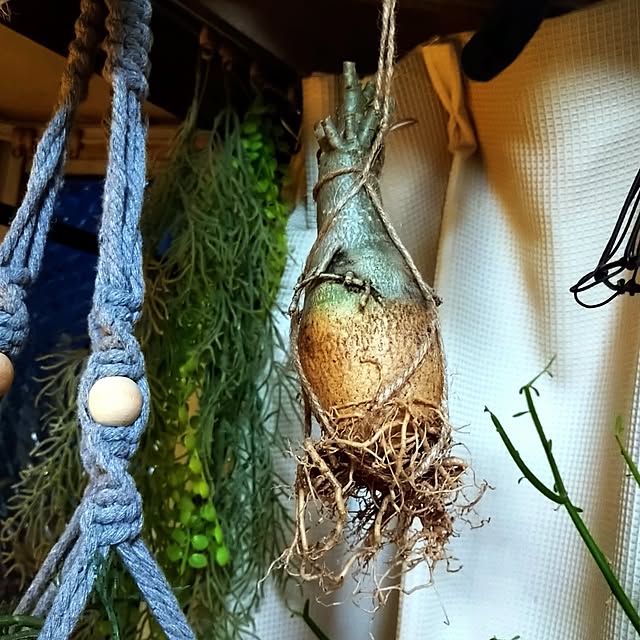 2menmamaさんの部屋