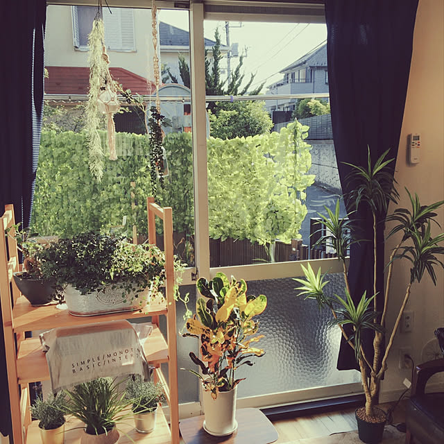 IKEA/ニトリ/100均/観葉植物/ダイソー...などのインテリア実例 - 2021-04-27 09:47:51