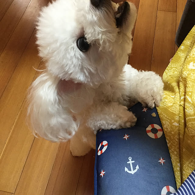 kakoさんの実例写真